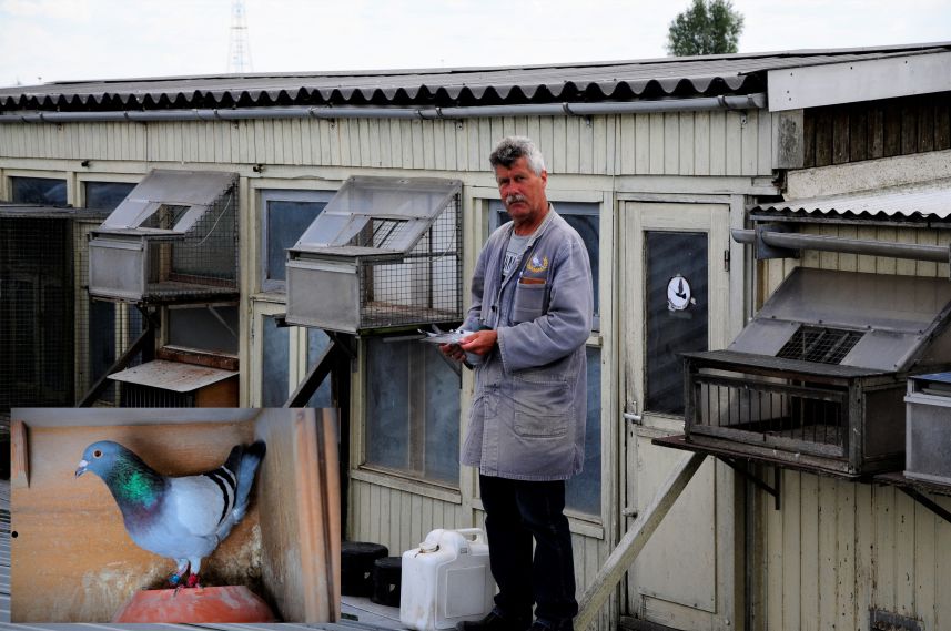 Johan Timmer uit Hardinxveld-Giessendam