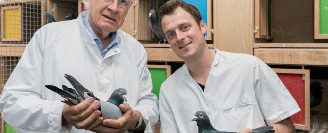 dokters raad